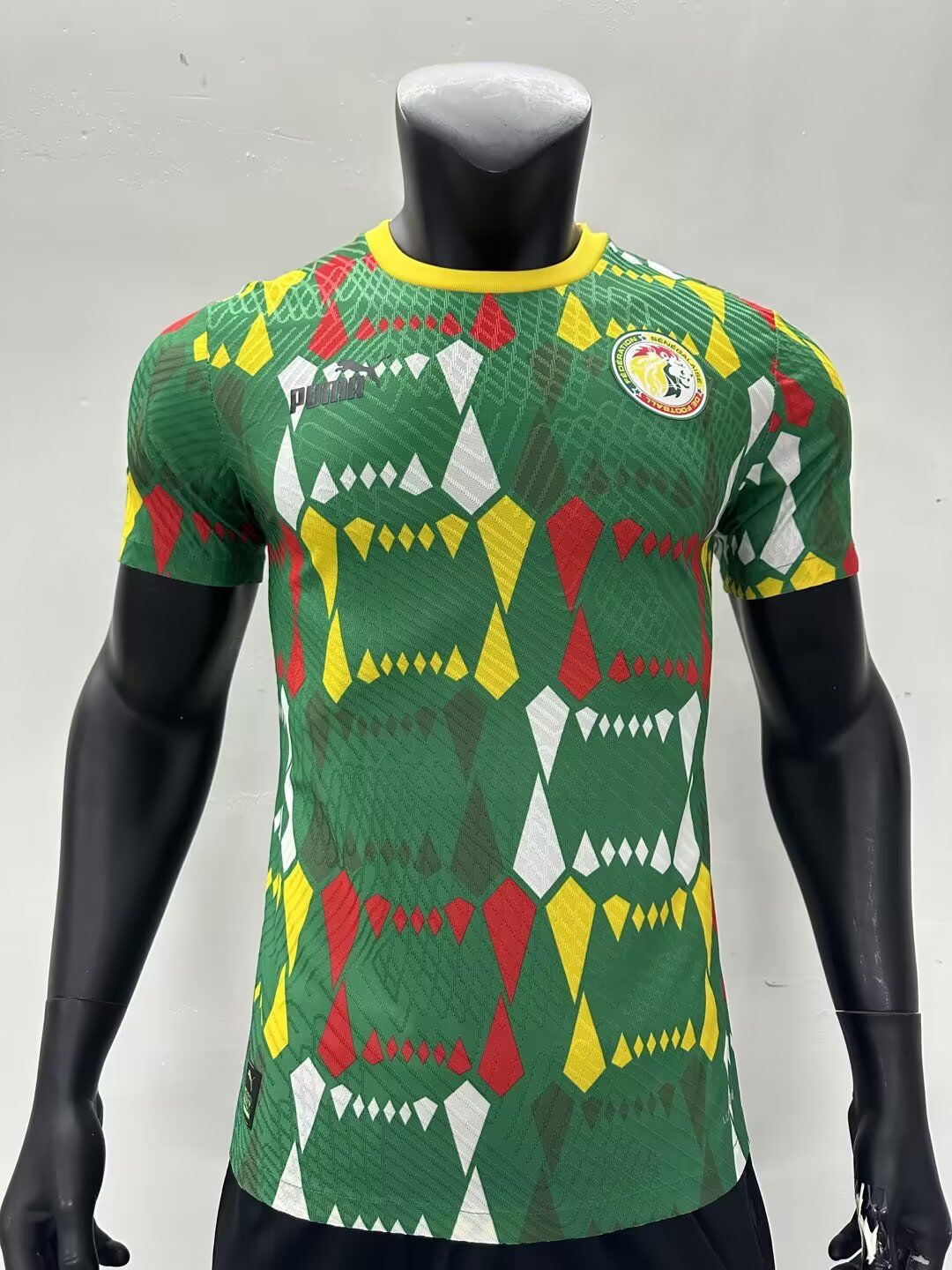AAA Quality Senegal 23/24 Green/Yellow Training Jersey(Player)